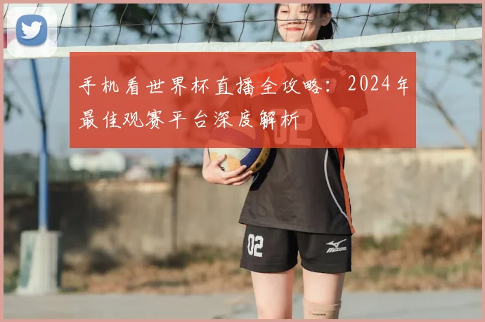 手机看世界杯直播全攻略：2024年最佳观赛平台深度解析