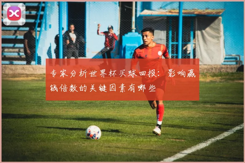 专家分析世界杯买球回报：影响赢钱倍数的关键因素有哪些