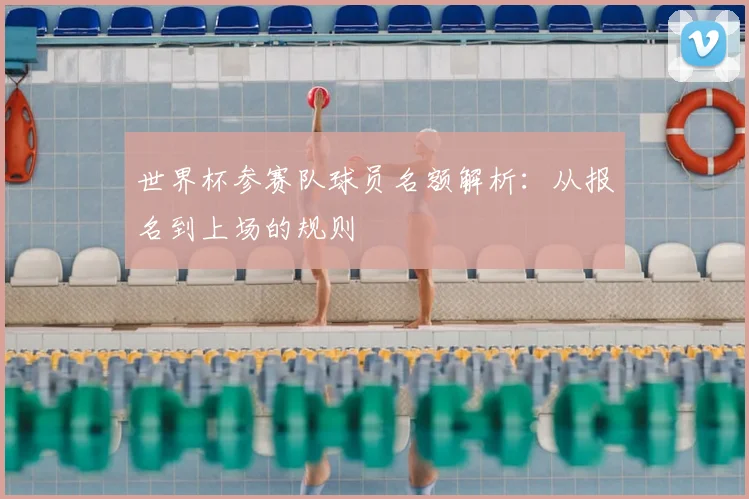 世界杯参赛队球员名额解析：从报名到上场的规则
