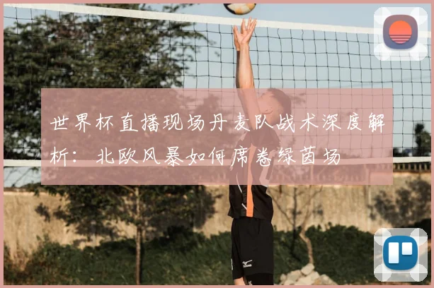 世界杯直播现场丹麦队战术深度解析：北欧风暴如何席卷绿茵场