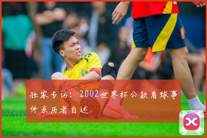 独家专访:2002世界杯公款看球事件亲历者自述