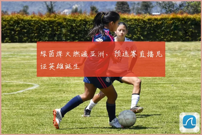绿茵烽火燃遍亚洲，预选赛直播见证英雄诞生