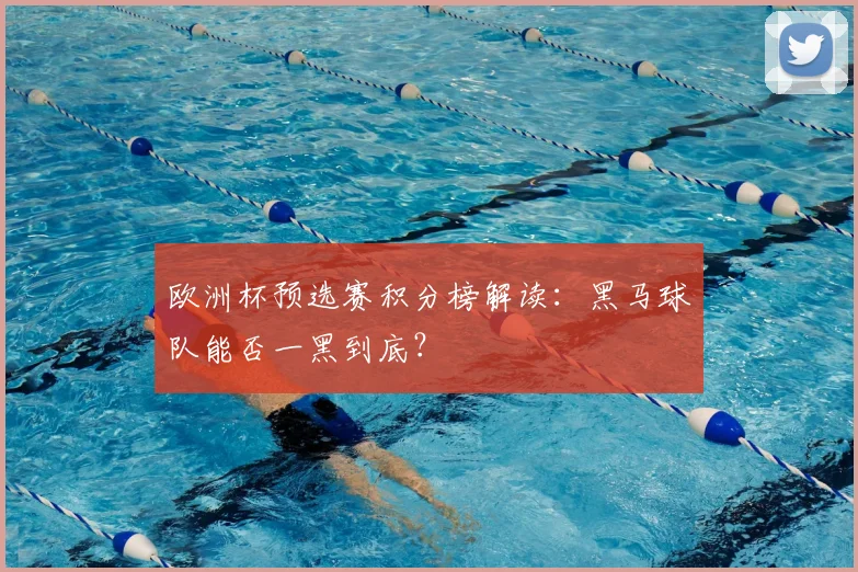 欧洲杯预选赛积分榜解读：黑马球队能否一黑到底？
