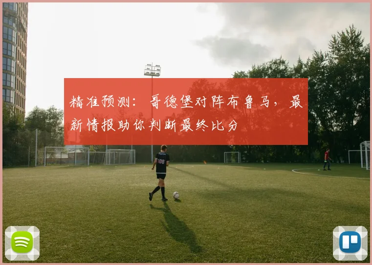 精准预测：哥德堡对阵布鲁马，最新情报助你判断最终比分